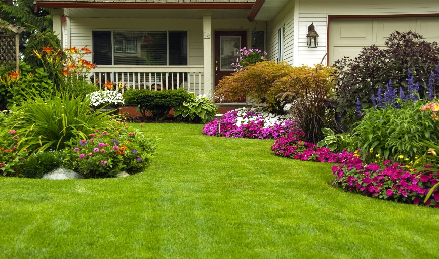 Landscaping